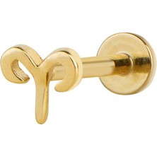 goldkupe Koç Burç Piercing