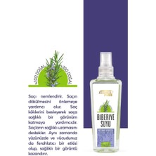 Softto Plus Biberiye Suyu / Tonik 200 ml - Dökülme Karşıtı ve Kepek Önleyici Saç ve Cilt Bakımı