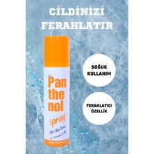 Panthenol Spray Mit Aloe Vera %9 Oranında Panthenol 150 ml