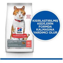 Hills Sterilised Cat Salmon 13 + 2 kg 15 kg Somonlu Kısırlaştırılmış Kedi Maması