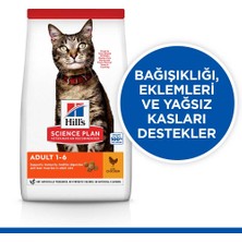 Hills Adult Chicken 3 kg Tavuklu Yetişkin Kedi Maması