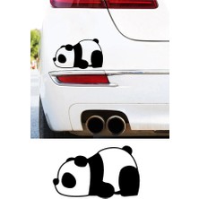 TSC Sevimli Yorgun Panda Araba Sticker 20 cm