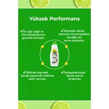 Just Green Organic Bitkisel Elde Bulaşık Deterjanı Okaliptüs Ve Lime Yağlı, %100 Doğal,bitkisel Ve Ferah Temizlik 750ml