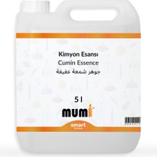 Kimyon Mum Esansı 64982 5 Litre