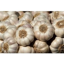 Taşköprü Sarımsağı Orta Boy Doğal Antibiyotik Kastamonu Menşeli Muhteşem Lezzet