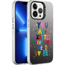 Nova Global Apple iPhone 13 Pro Uyumlu Desenli Silver Sert Kapak - You