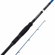 Savage Gear Sgs2 Long Casting 2.90M 15-50 gr 2p Shore Jig Olta Kamışı