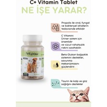 Vitpaw Immune C Tablet (Kedi ve Köpekler Için Destekleyici Tablet 75 Tablet)