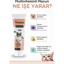 Vitpaw Sterile Paste 100 Gr.(Kısırlaştırılmış Kediler Için Multivitamin ve Minarelli Malt Macun)