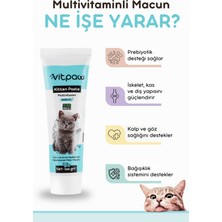 Vitpaw Kitten Paste 100 Gr.(Yavru & Anne Kedi Direnç Sistemi Destekleyici Multivitamin Macun)