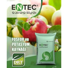 Doktor Tarsa Entec Npk 12-20-12 Kaktüs ve Sukulentler Için Yavaş Salınımlı Akıllı Granül Gübre 1 Kg