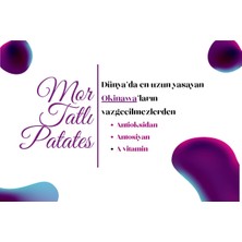 Violette Mor Tatlı Patates 8 kg