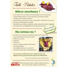 Violette Kırmızı Tatlı Patates 1 kg