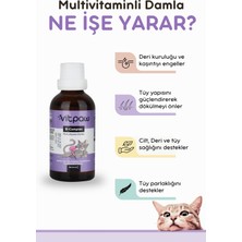 Vitpaw B Complex Damla 50 ml Kediler Için Tüy Dökülmesi Engelleyici, Deri ve Tüy Sağlığı Biotin Damla