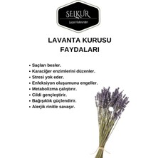 Lavanta Kurusu 1kg(Doğal,boyasız)