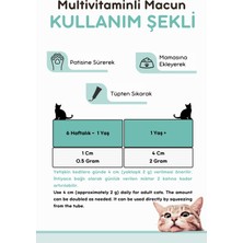 Vitpaw Yetişkin Kedi Sağlık Seti (Multivitamin Paste, Fish Oil, B+ Complex)