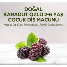  Eyüp Sabri Tuncer Doğal Karadut Özlü Diş Macunu 2-6 Yaş 60ML