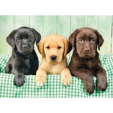 Clementoni - 1000 Parça High Quality Collection Yetişkin Puzzle - Three Labs