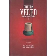 Sultan Veled Divanı Tercümesi (2 Kitap Takım)