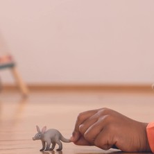 Schleich Aardvark Oyuncak