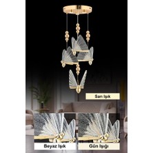 Istanbul Avize Ipek 4'lü Gold Ledli 3 Renk Modern LED Avize