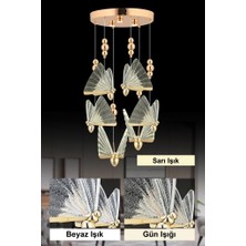 Istanbul Avize Ipek 6'lı Gold Ledli 3 Renk Modern LED Avize