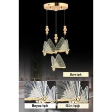 Istanbul Avize Ipek 3'lü Gold Ledli 3 Renk Modern LED Avize