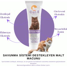 Immune Paste Savunma Destekleyici Malt Macunu