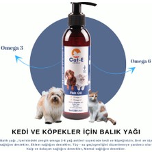 Balık Yağı (Fish Oil) Kedi ve Köpekler Için