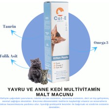 Kitten Paste Yavru ve Anne Kediler Için Mal Macunu