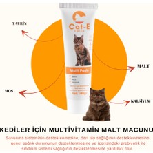 Multivitamin Paste Kediler Için Multivitamin Malt Macunu