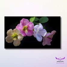 Panoramik Yatay Kanvas Duvar Tablosu Soft Hibiscus Çiçekler