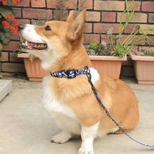 Huoxun Shop A No.2 Tarzı Xs Beden Köpek Tasma Ayarlanabilir Boyut Pet Kedi Köpek Tasma Küçük Orta Büyük Köpek Patlama Geçirmez Şirin Kolye Tasma (Yurt Dışından)