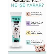 Vitpaw Multi Paste 100 Gr.(KEDİLER İÇİN BAĞIŞIKLIK GÜCLENDİRİCİ VE TÜY YUMAĞI ÖNLEYİCİ MULTİVİTAMİN) Kedi Vitamin