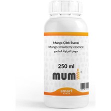 Mango Çilek Mum Esansı 250 ml