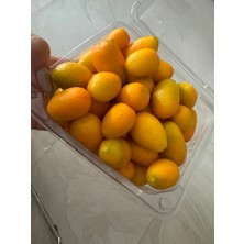 Asbell Kumkuat Meyvesi 1 kg kamkat