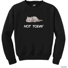 Wakha Kedi Not Today Siyah Sweatshirt