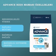 Advance Baby Protect Kitten Tavuklu Yavru Kedi Maması 10 Kg