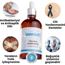 Louvreloft Gümüş Suyu