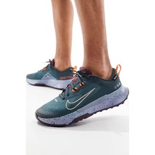 Nike Juniper Trail 2 Gore-Tex Erkek Koşu & Antrenman Ayakkabısı