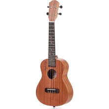 Miguel Artegas MU23C Concert Ukulele