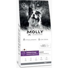 Molly Medium Large Adult Kuzu Etli Yaban Mersinli Yetişkin Köpek Maması 2 kg