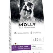 Molly Medium Large Adult Kuzu Etli Yaban Mersinli Yetişkin Köpek Maması 2 kg