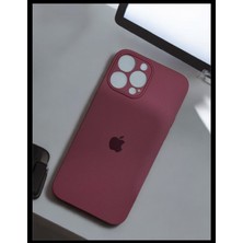 Merkez iPhone 13 Pro Max Lansman Silikon Kılıf