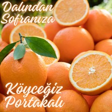 Köyceğiz Doğal Market Organik Köyceğiz Portakalı