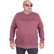 Starbattal Erkek Büyük Beden Sıfır Yaka 3ip Sweat Original 24203 Eflatun