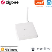 Zemismart M6 Tuya Uyumlu Zigbee Matter Gateway ( Homekit Destekli Zigbee Hub )