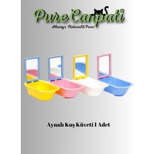 Purecanpati Aynalı Kuvet