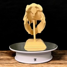 3D T-Rex Kafatası