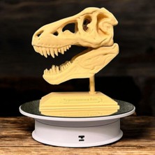 3D T-Rex Kafatası